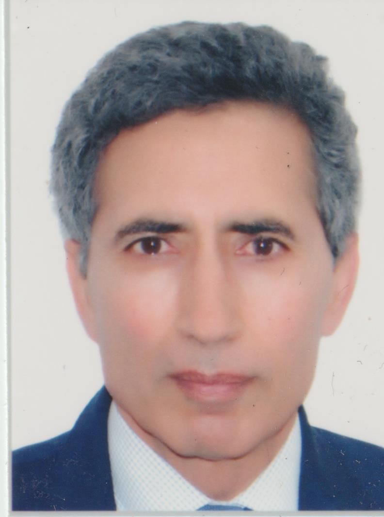 Pr. M'HAMED HARIF